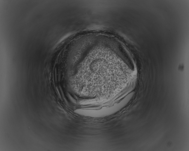X0000091361206200708311457