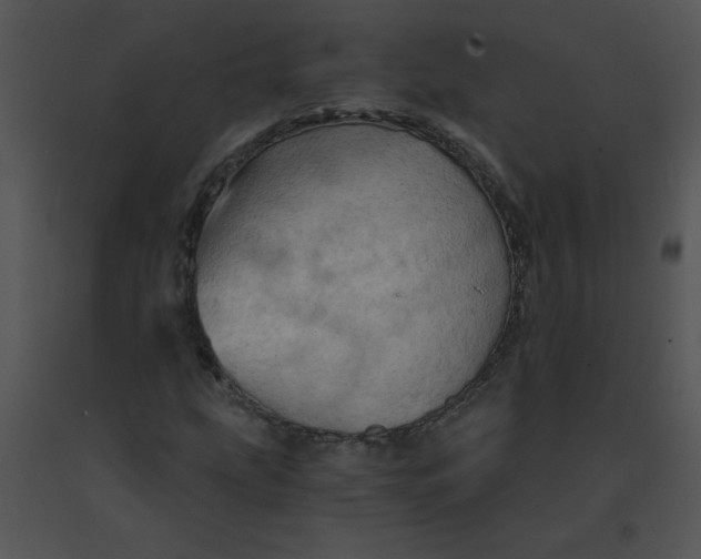 X0000091361207200708311457