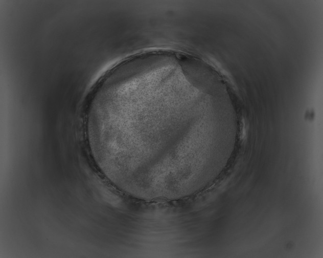 X0000091361208200708311457