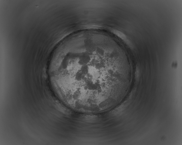 X0000091361209200708311457