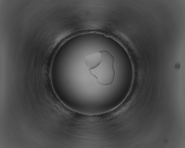 X0000091361210200708311457