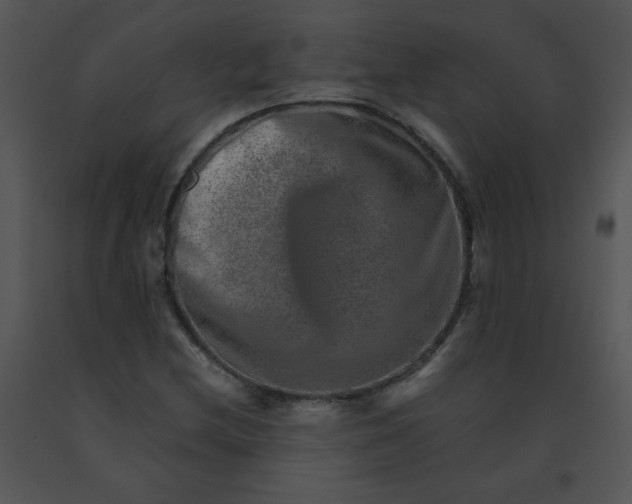 X0000091361212200708311458