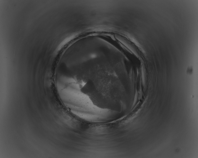 X0000091361213200708311458