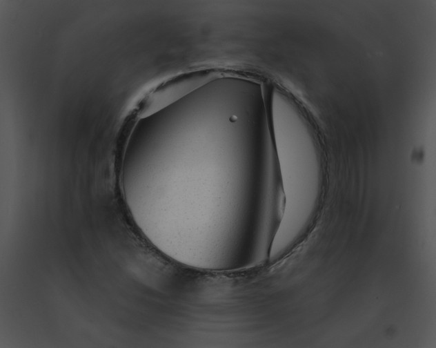X0000091361214200708311458