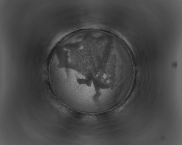 X0000091361215200708311458