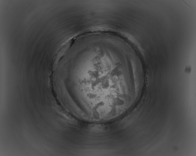 X0000091361217200708311458