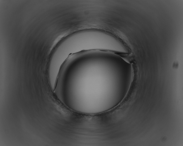 X0000091361218200708311458