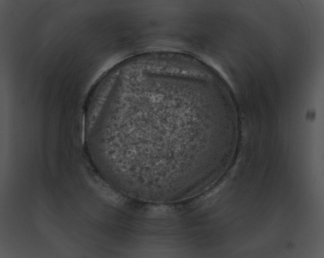 X0000091361219200708311458