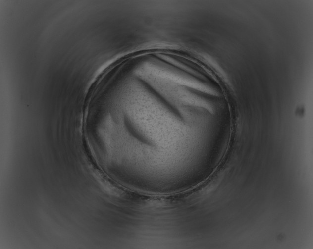X0000091361220200708311458