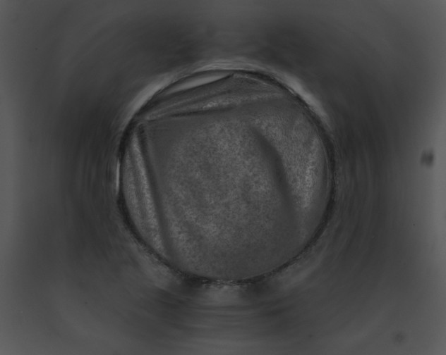 X0000091361221200708311458