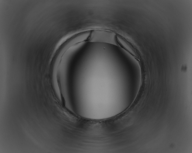X0000091361222200708311458