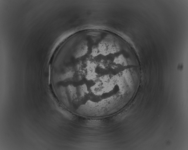 X0000091361223200708311458