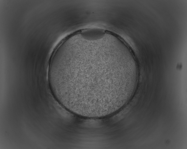 X0000091361224200708311458