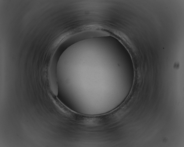 X0000091361225200708311458
