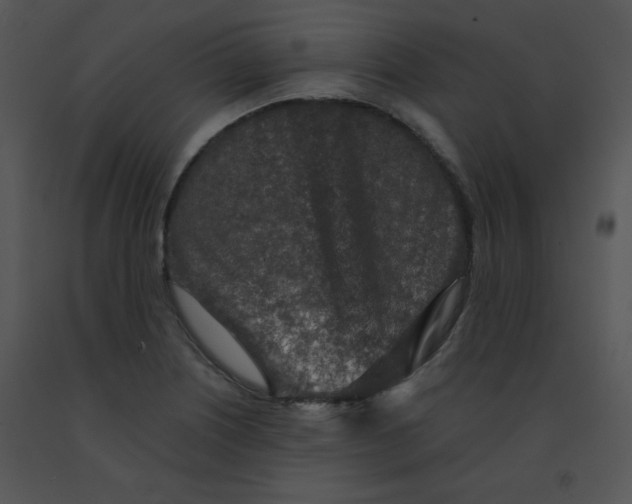 X0000091361226200708311458