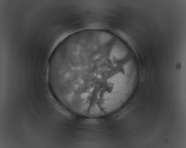 X0000091361227200708311458