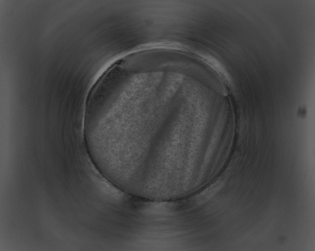 X0000091361228200708311458