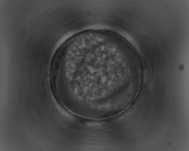 X0000091361229200708311458