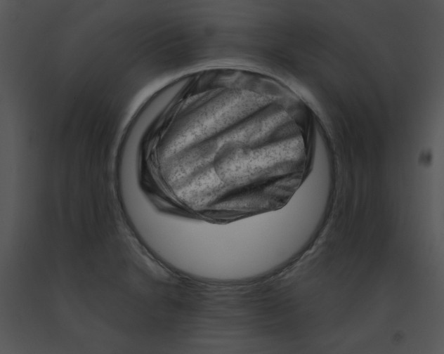 X0000091361230200708311458