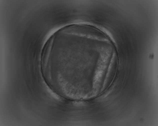X0000091361231200708311458