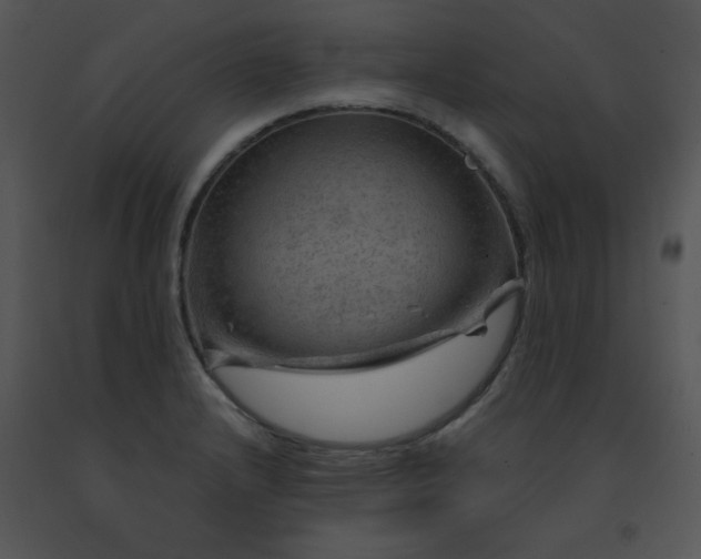 X0000091361232200708311458