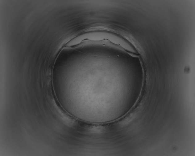 X0000091361233200708311458