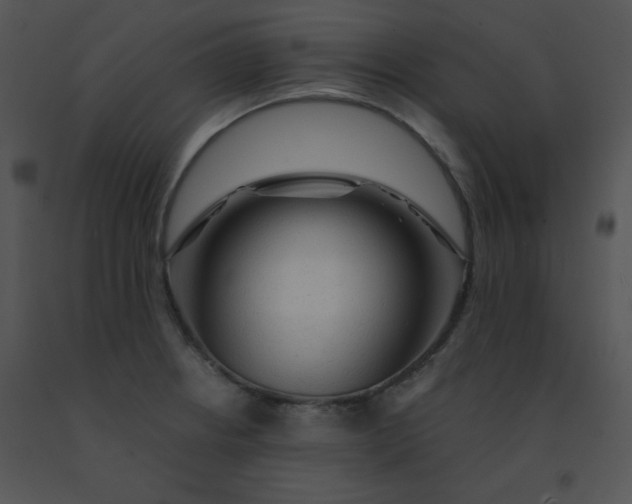 X0000091361234200708311458