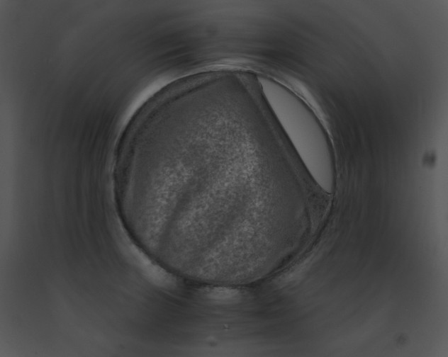 X0000091361235200708311458