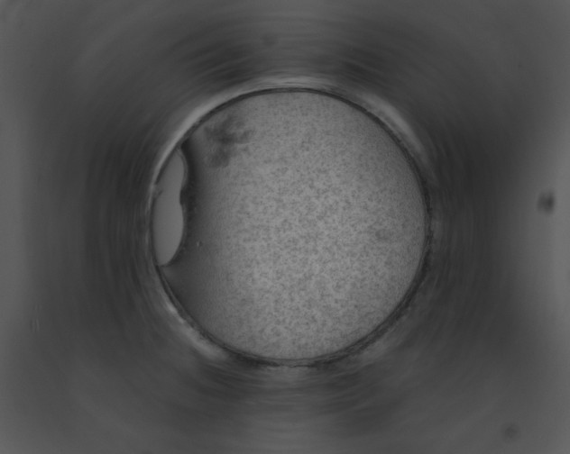 X0000091361236200708311458