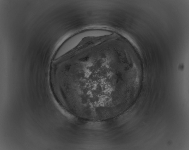 X0000091361237200708311458