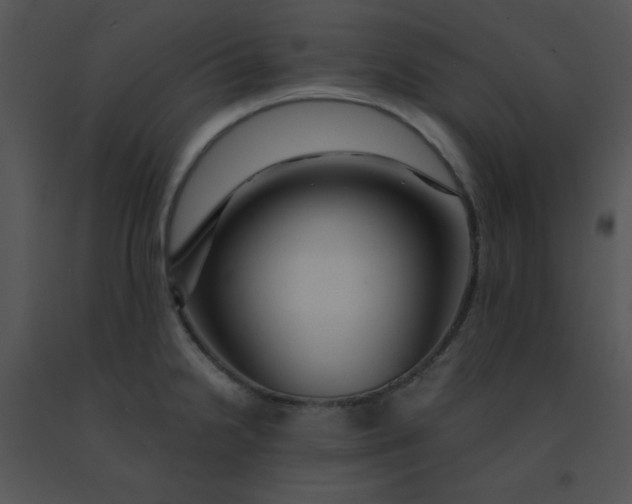 X0000091361238200708311458