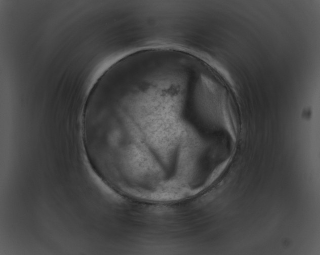 X0000091361239200708311458