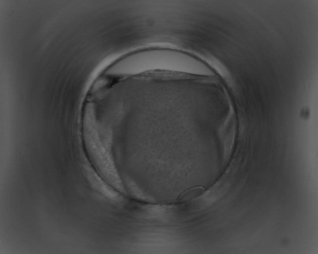 X0000091361240200708311458