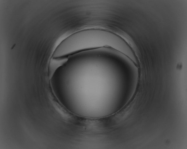X0000091361242200708311458