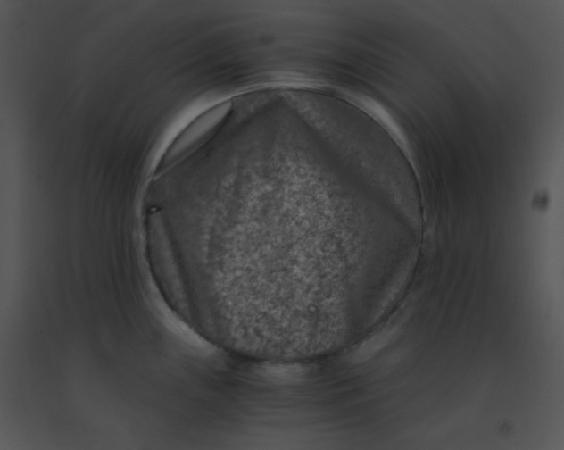 X0000091361243200708311458