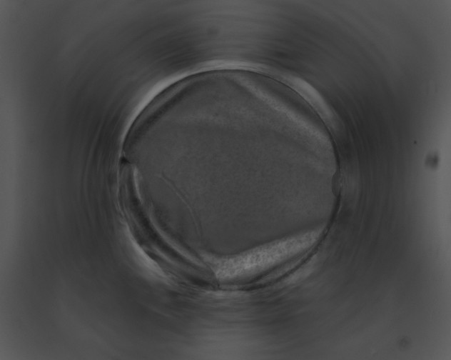 X0000091361244200708311458