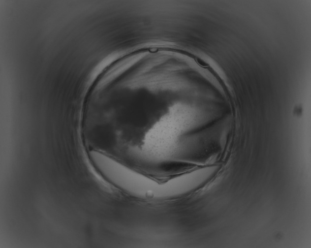 X0000091361245200708311458