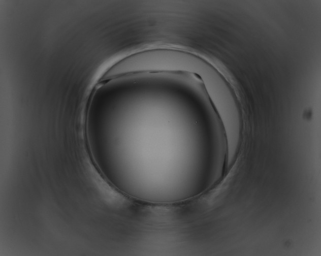 X0000091361246200708311458