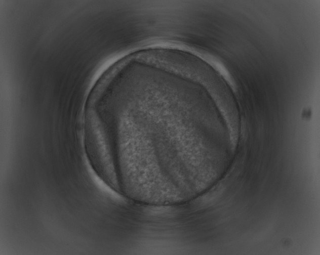 X0000091361247200708311458