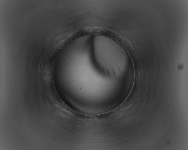 X0000091361250200708311457