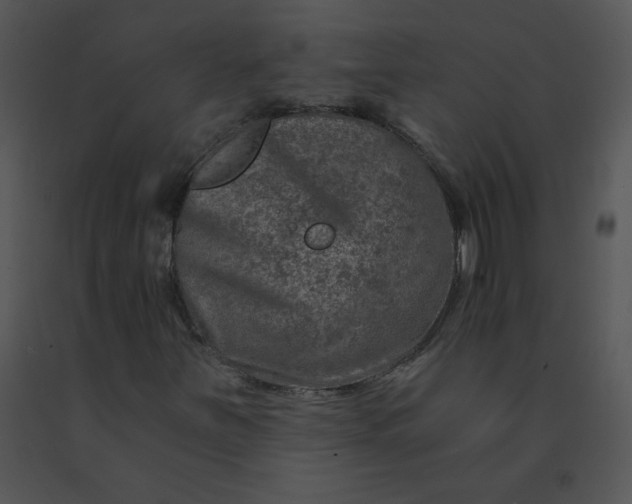 X0000091361251200708311457