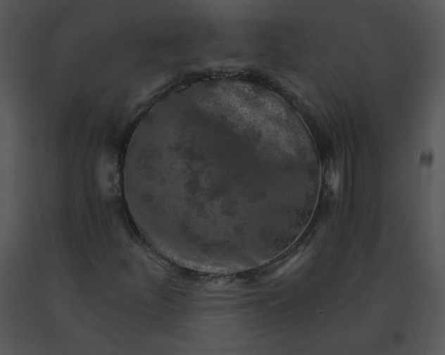 X0000091361252200708311457