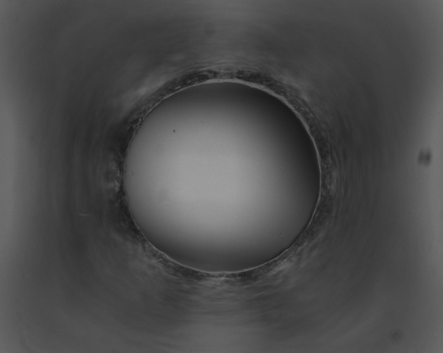 X0000091361253200708311457