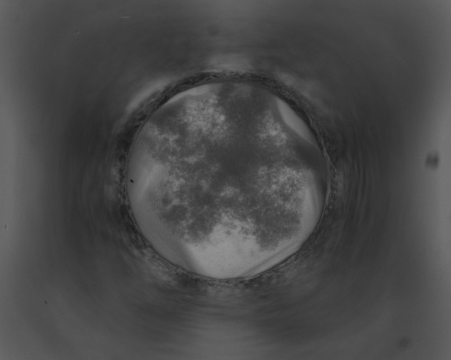 X0000091361254200708311457
