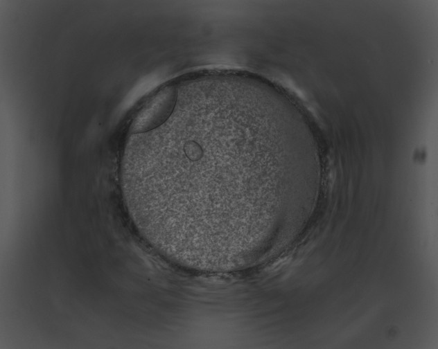 X0000091361255200708311457