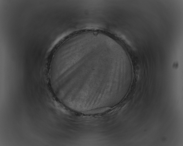 X0000091361256200708311457