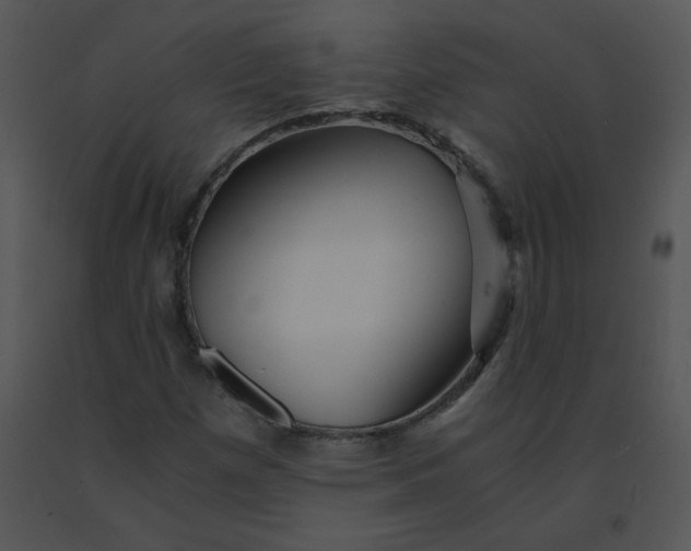 X0000091361257200708311457