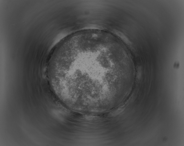 X0000091361258200708311457