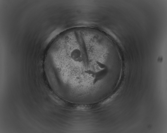 X0000091361259200708311457