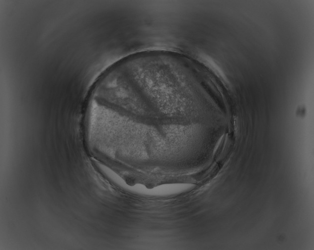 X0000091361260200708311457